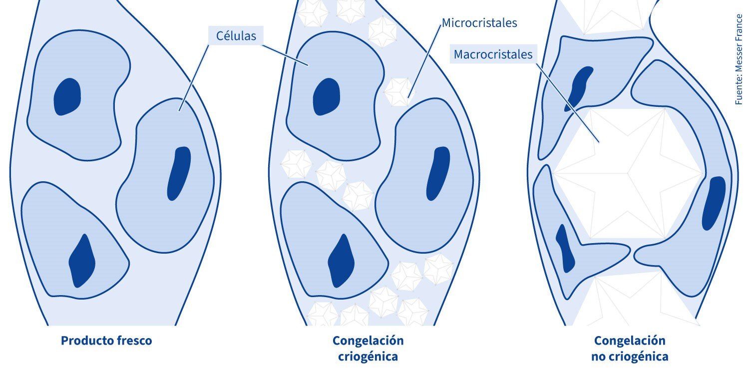 Congelacion-criogenica